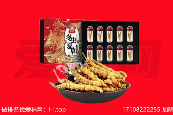 新安县回收虫草.jpg